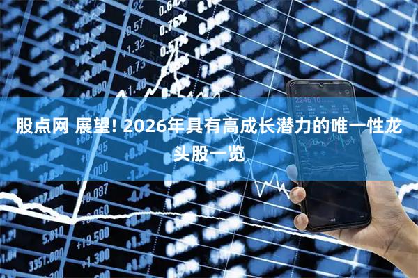 股点网 展望! 2026年具有高成长潜力的唯一性龙头股一览