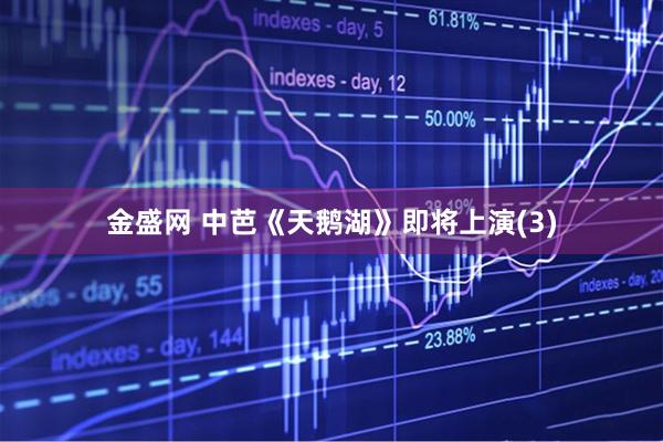 金盛网 中芭《天鹅湖》即将上演(3)