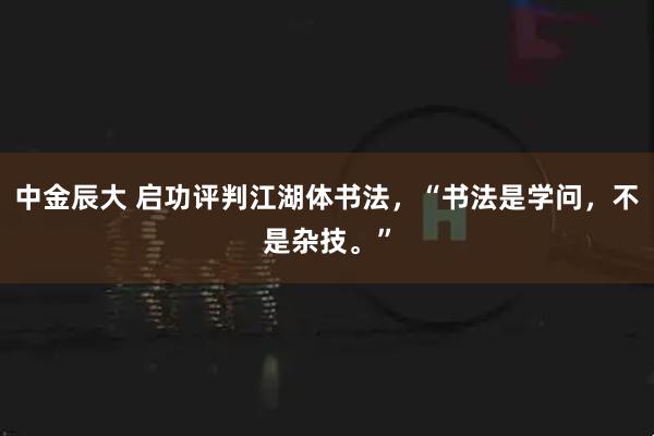中金辰大 启功评判江湖体书法，“书法是学问，不是杂技。”