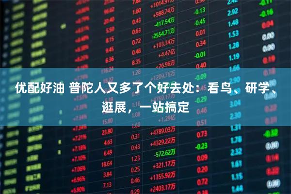 优配好油 普陀人又多了个好去处：看鸟、研学、逛展，一站搞定