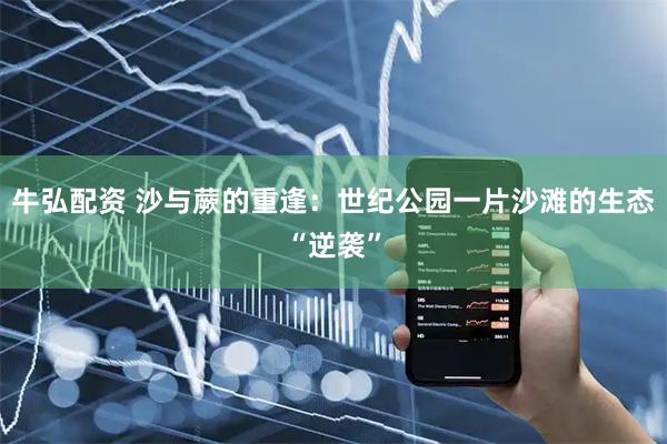 牛弘配资 沙与蕨的重逢：世纪公园一片沙滩的生态“逆袭”