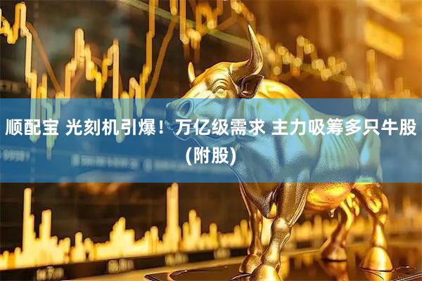 顺配宝 光刻机引爆！万亿级需求 主力吸筹多只牛股(附股)